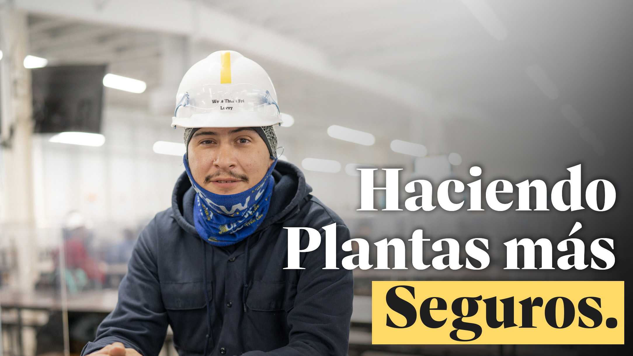 Plantas Mas Seguros